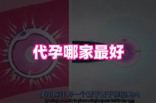 长沙助孕网站 1