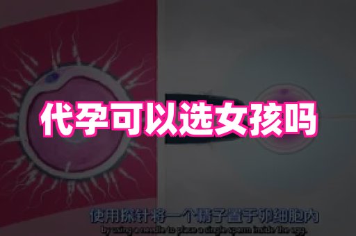 长沙助孕网站 2